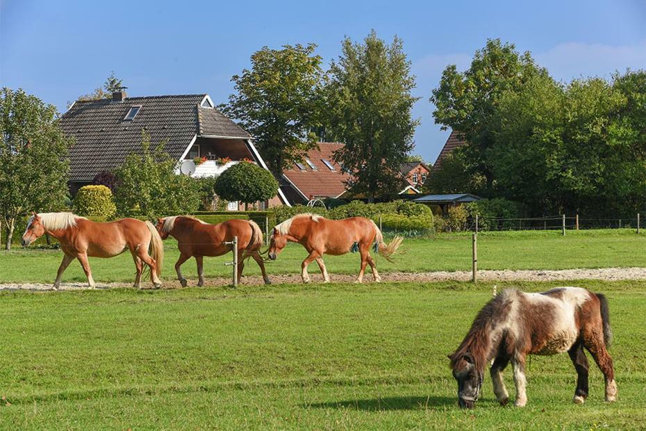 Ferienhof Zur Alten Linde Holtgast Exteriör bild